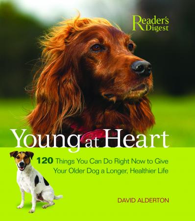 Young at Heart